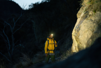 Knog Stirnlampe Bandicoot 250 black