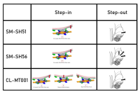 Shimano Schuhplattensatz SM-SH56 SPD Mehrfachausstieg mit Gegenplatte